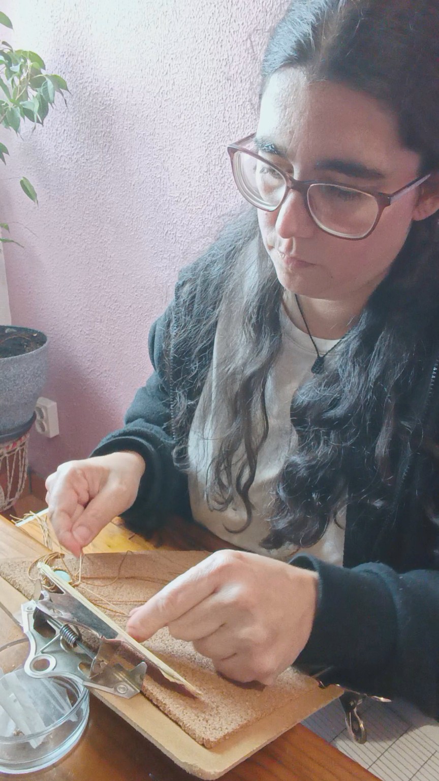 Cláudia sentada à mesa, a trabalhar com as duas mãos sobre a placa de cortiça
